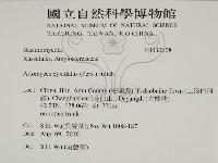 登錄號:F0030608藏品圖，第2張