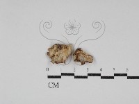 登錄號:F0030611藏品圖，第1張