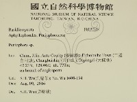 筍殼菌屬藏品圖，第2張