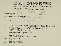 登錄號:F0030615藏品圖，第2張