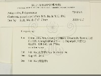 登錄號:F0030616藏品圖，第2張