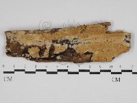 登錄號:F0030616藏品圖，第1張