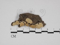 登錄號:F0030617藏品圖，第1張