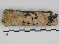 登錄號:F0030619藏品圖，第1張