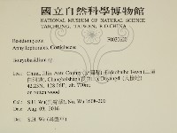 登錄號:F0030620藏品圖，第2張