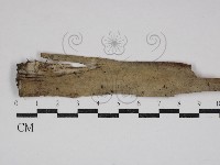 登錄號:F0030620藏品圖，第1張