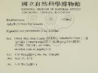 登錄號:F0030622藏品圖，第2張