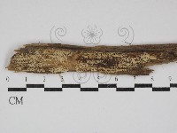 登錄號:F0030624藏品圖，第1張