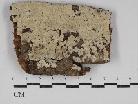 登錄號:F0030625藏品圖，第1張