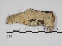 登錄號:F0030626藏品圖，第1張