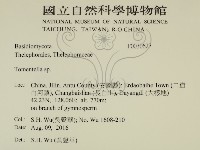 登錄號:F0030627藏品圖，第2張