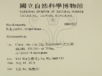 骨皮菌屬藏品圖，第2張