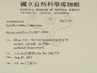 登錄號:F0030629藏品圖，第2張