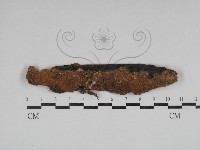 登錄號:F0030629藏品圖，第1張