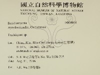 登錄號:F0030631藏品圖，第2張