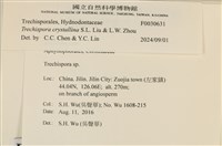 登錄號:F0030631藏品圖，第3張