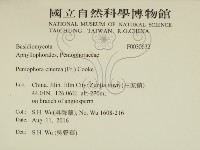 登錄號:F0030632藏品圖，第2張