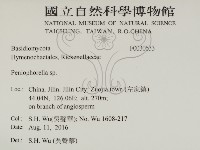 擬筍殼菌屬藏品圖，第2張