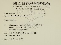 擬筍殼菌屬藏品圖，第2張