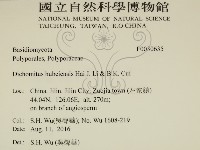 登錄號:F0030635藏品圖，第2張