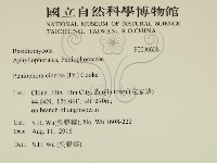 登錄號:F0030638藏品圖，第2張