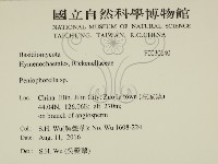 擬筍殼菌屬藏品圖，第2張