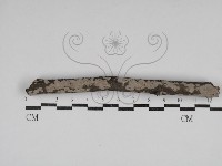 登錄號:F0030643藏品圖，第1張
