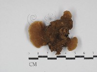 登錄號:F0030645藏品圖，第3張