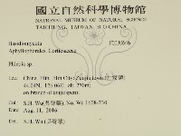 射脈菌屬藏品圖，第2張