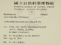 登錄號:F0030648藏品圖，第2張