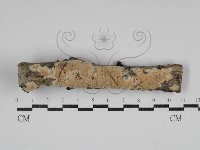 登錄號:F0030648藏品圖，第1張