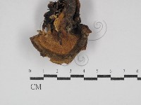 登錄號:F0030651藏品圖，第1張