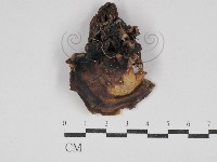 登錄號:F0030651藏品圖，第3張