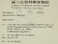 絲齒菌屬藏品圖，第2張