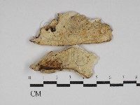 登錄號:F0030653藏品圖，第1張