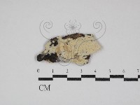 登錄號:F0030654藏品圖，第1張