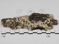 登錄號:F0030655藏品圖，第1張