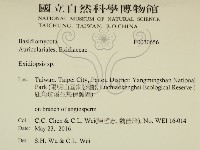 登錄號:F0030656藏品圖，第2張