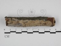 登錄號:F0030656藏品圖，第1張