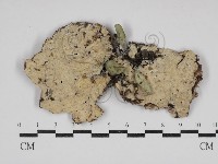 登錄號:F0030657藏品圖，第1張