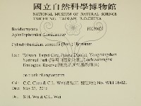 登錄號:F0030659藏品圖，第2張