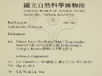 登錄號:F0030661藏品圖，第2張