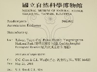 刺皮菌屬藏品圖，第2張