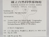 花耳屬藏品圖，第2張