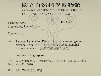 銀耳屬藏品圖，第2張