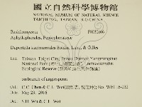 登錄號:F0030666藏品圖，第2張