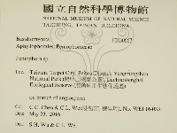 筍殼菌屬藏品圖，第2張