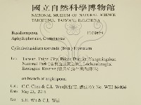 登錄號:F0030668藏品圖，第2張