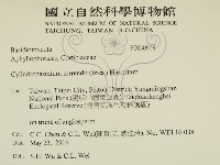 登錄號:F0030669藏品圖，第2張