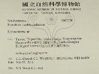 登錄號:F0030670藏品圖，第2張